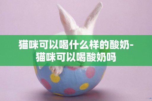 貓咪可以喝什么樣的酸奶-貓咪可以喝酸奶嗎