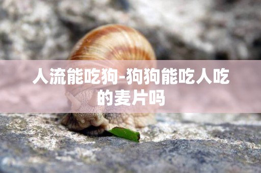 人流能吃狗-狗狗能吃人吃的麥片嗎