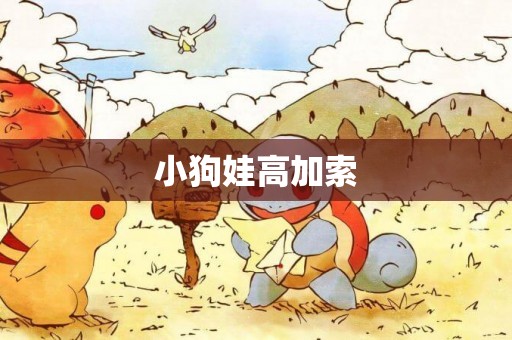 小狗娃高加索
