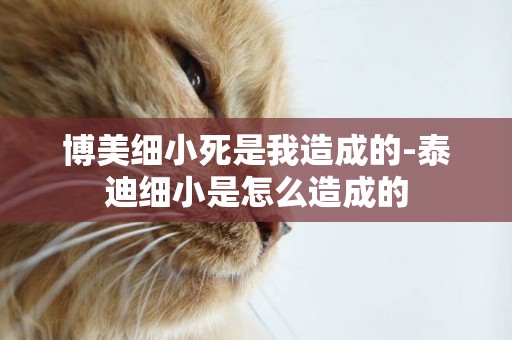 博美細小死是我造成的-泰迪細小是怎么造成的