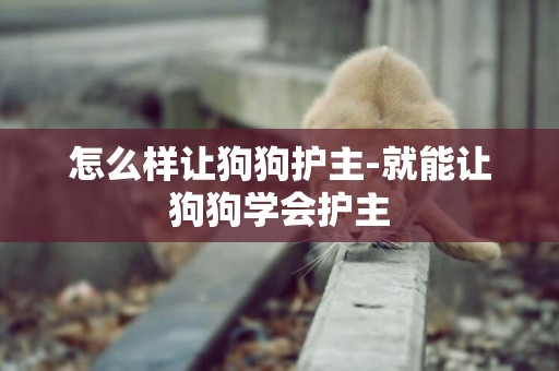 怎么樣讓狗狗護主-就能讓狗狗學會護主
