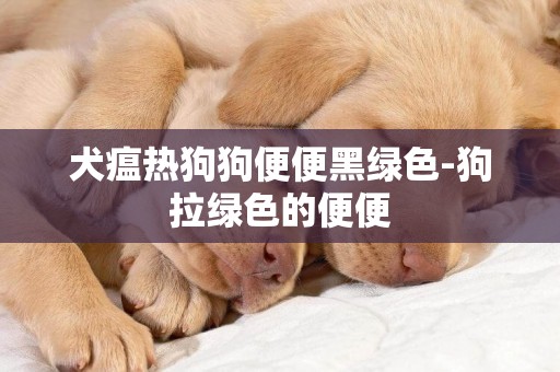 犬瘟熱狗狗便便黑綠色-狗拉綠色的便便