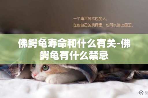 佛鱷龜壽命和什么有關-佛鱷龜有什么禁忌