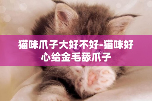 貓咪爪子大好不好-貓咪好心給金毛舔爪子