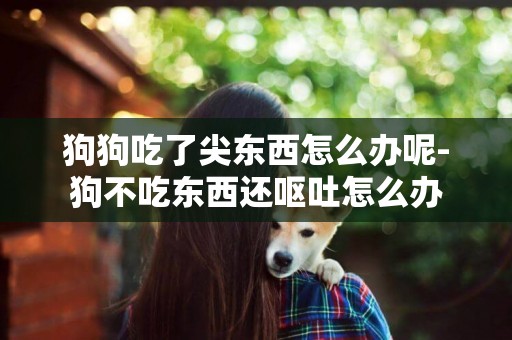 狗狗吃了尖東西怎么辦呢-狗不吃東西還嘔吐怎么辦