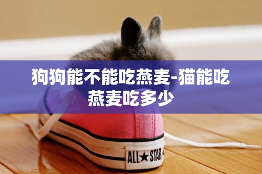 狗狗能不能吃燕麥-貓能吃燕麥吃多少