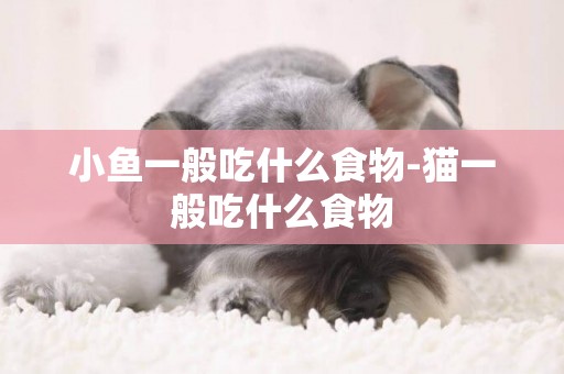 小魚一般吃什么食物-貓一般吃什么食物