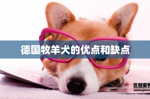 德國牧羊犬的優點和缺點