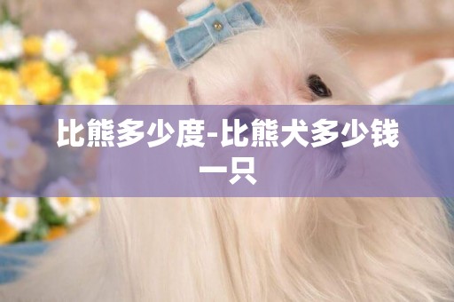 比熊多少度-比熊犬多少錢一只