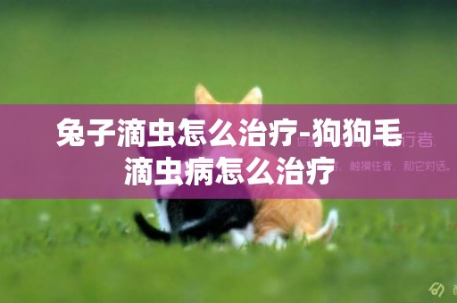 兔子滴蟲怎么治療-狗狗毛滴蟲病怎么治療
