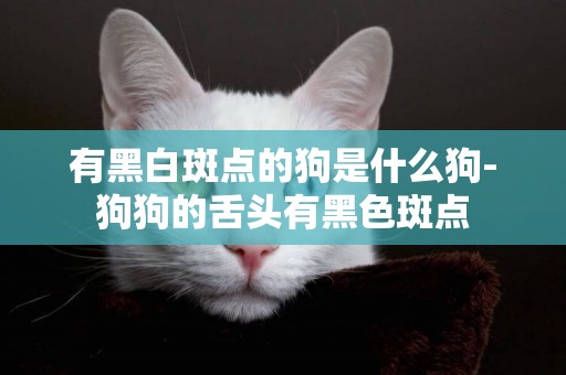 有黑白斑點的狗是什么狗-狗狗的舌頭有黑色斑點