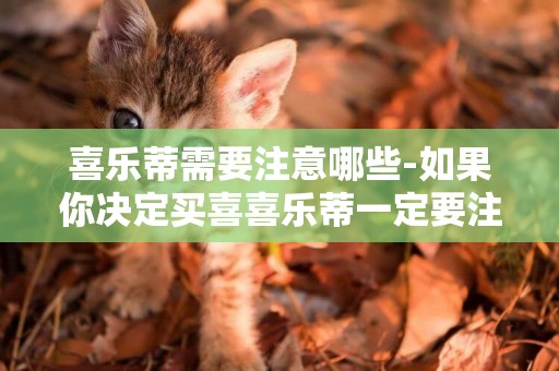 喜樂蒂需要注意哪些-如果你決定買喜喜樂蒂一定要注意些什么