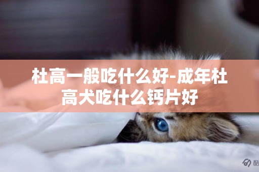 杜高一般吃什么好-成年杜高犬吃什么鈣片好