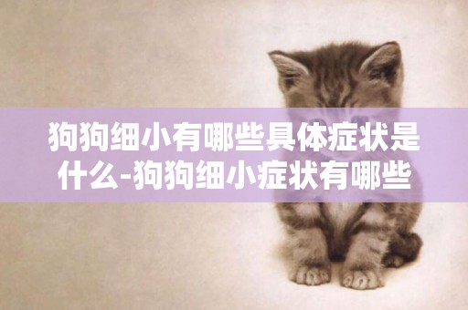狗狗細小有哪些具體癥狀是什么-狗狗細小癥狀有哪些表現