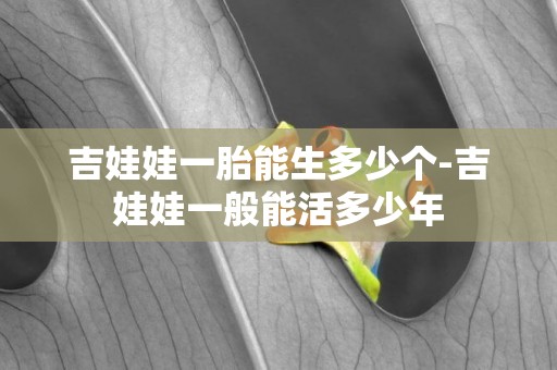 吉娃娃一胎能生多少個-吉娃娃一般能活多少年