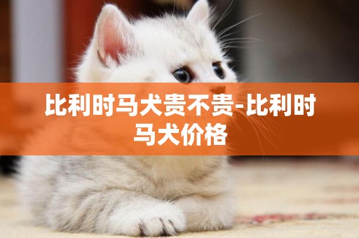 比利時馬犬貴不貴-比利時馬犬價格