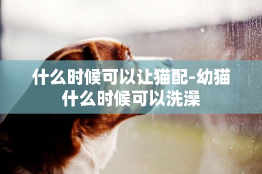 什么時候可以讓貓配-幼貓什么時候可以洗澡