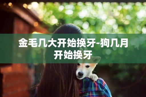 金毛幾大開始換牙-狗幾月開始換牙