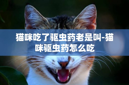 貓咪吃了驅蟲藥老是叫-貓咪驅蟲藥怎么吃