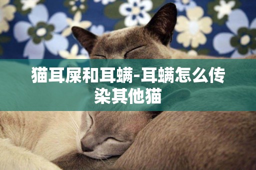 貓耳屎和耳螨-耳螨怎么傳染其他貓