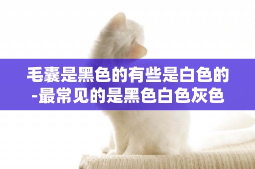 毛囊是黑色的有些是白色的-最常見的是黑色白色灰色