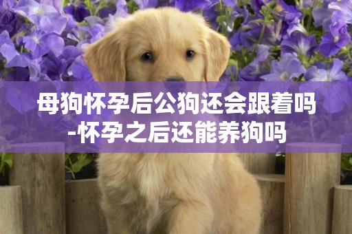 母狗懷孕后公狗還會跟著嗎-懷孕之后還能養狗嗎