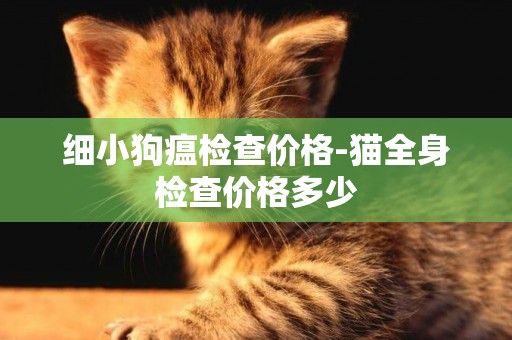 細小狗瘟檢查價格-貓全身檢查價格多少