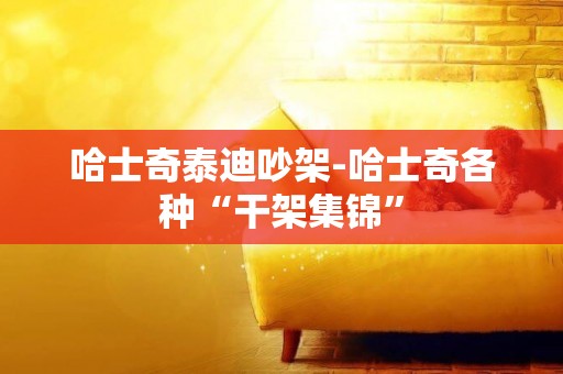 哈士奇泰迪吵架-哈士奇各種“干架集錦”
