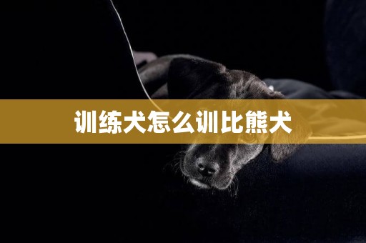 訓練犬怎么訓比熊犬