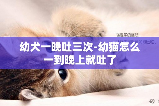 幼犬一晚吐三次-幼貓怎么一到晚上就吐了