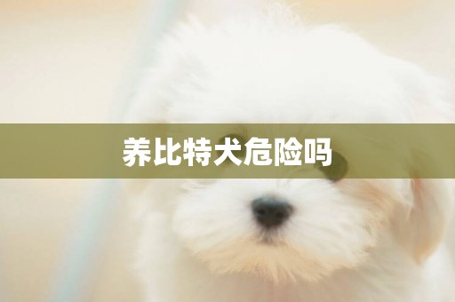 養比特犬危險嗎