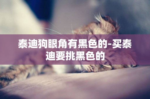 泰迪狗眼角有黑色的-買泰迪要挑黑色的
