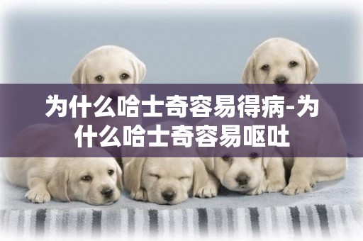 為什么哈士奇容易得病-為什么哈士奇容易嘔吐
