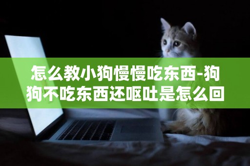 怎么教小狗慢慢吃東西-狗狗不吃東西還嘔吐是怎么回事