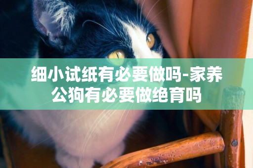 細小試紙有必要做嗎-家養公狗有必要做絕育嗎