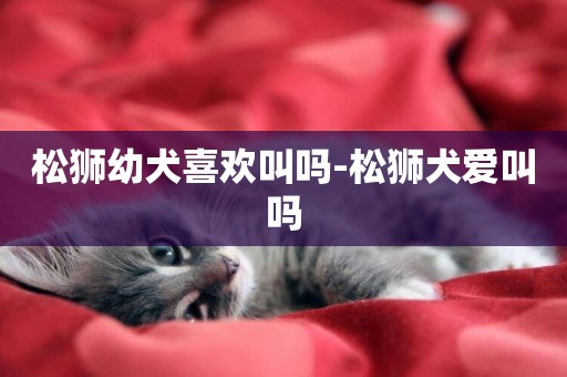 松獅幼犬喜歡叫嗎-松獅犬愛叫嗎