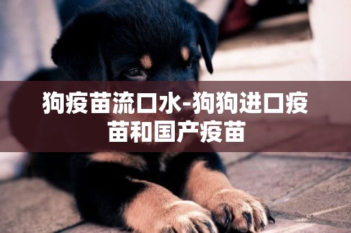狗疫苗流口水-狗狗進口疫苗和國產疫苗