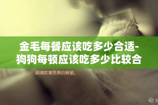金毛每餐應該吃多少合適-狗狗每頓應該吃多少比較合適