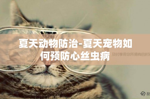 夏天動物防治-夏天寵物如何預防心絲蟲病