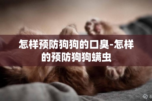 怎樣預防狗狗的口臭-怎樣的預防狗狗螨蟲