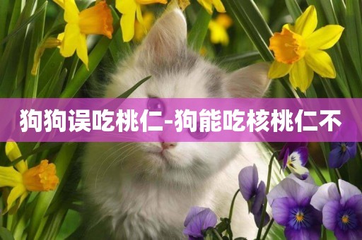 狗狗誤吃桃仁-狗能吃核桃仁不