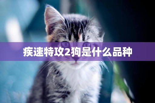 疾速特攻2狗是什么品種