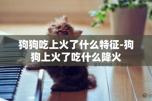 狗狗吃上火了什么特征-狗狗上火了吃什么降火
