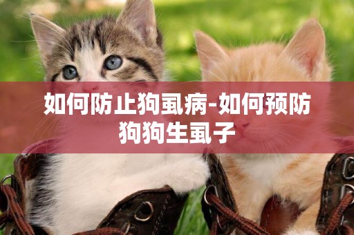 如何防止狗虱病-如何預防狗狗生虱子