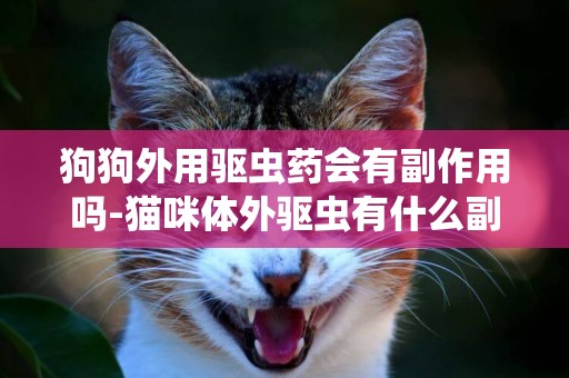 狗狗外用驅蟲藥會有副作用嗎-貓咪體外驅蟲有什么副作用嗎
