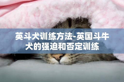 英斗犬訓練方法-英國斗牛犬的強迫和否定訓練