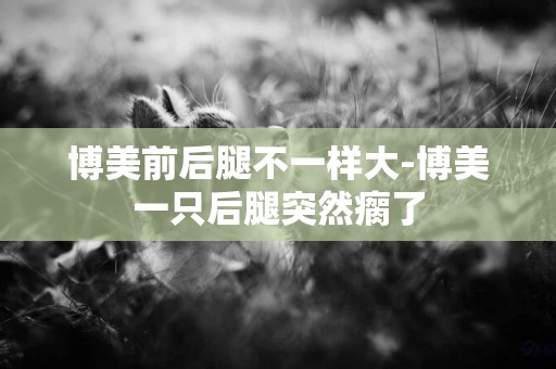 博美前后腿不一樣大-博美一只后腿突然瘸了