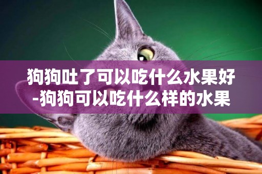 狗狗吐了可以吃什么水果好-狗狗可以吃什么樣的水果