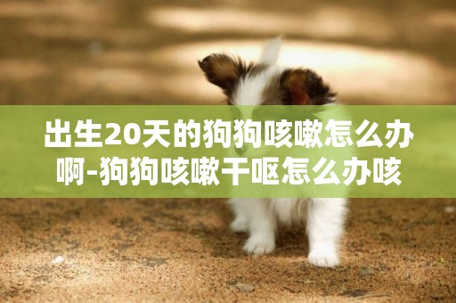 出生20天的狗狗咳嗽怎么辦啊-狗狗咳嗽干嘔怎么辦咳嗽怎么辦啊