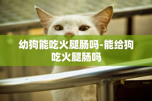 幼狗能吃火腿腸嗎-能給狗吃火腿腸嗎